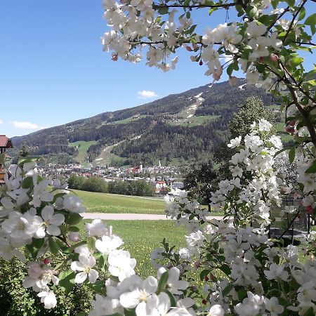 Ferienwohnung Holdhäusl Schladming Exterior foto