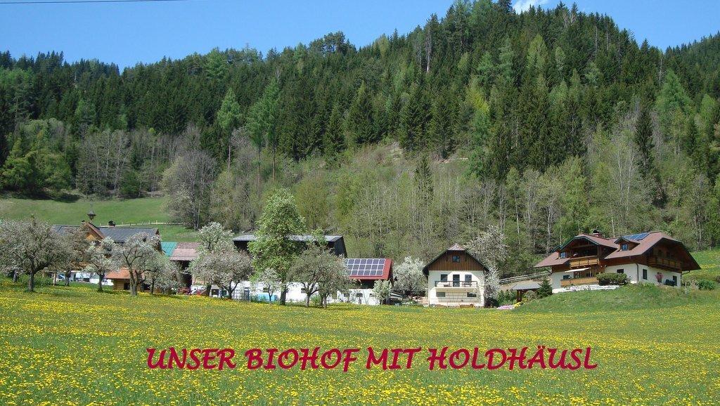 Ferienwohnung Holdhäusl Schladming Zimmer foto