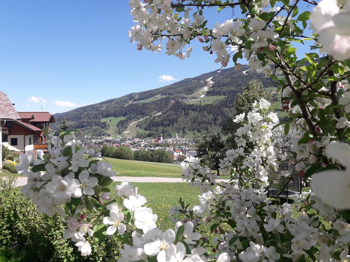 Ferienwohnung Holdhäusl Schladming Exterior foto